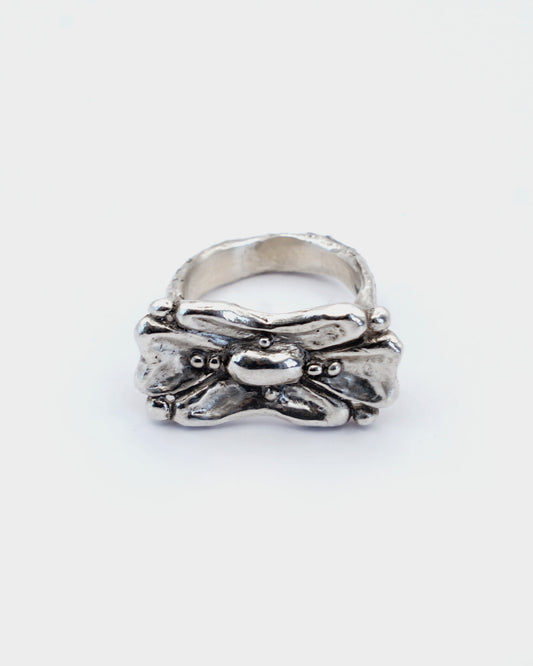 Eingang Ring