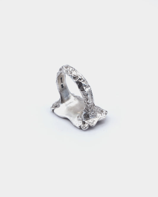 Eingang Ring