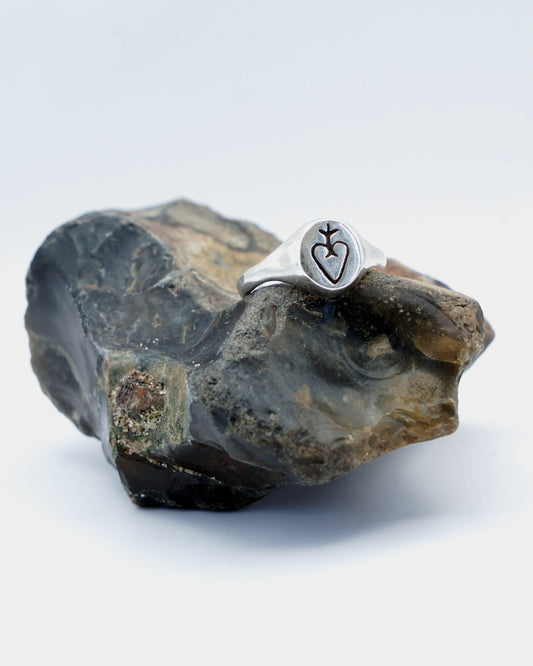 Lovers Token Signet ring